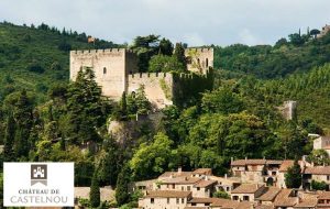 Entrée pour le Château de Castelnou pas chère