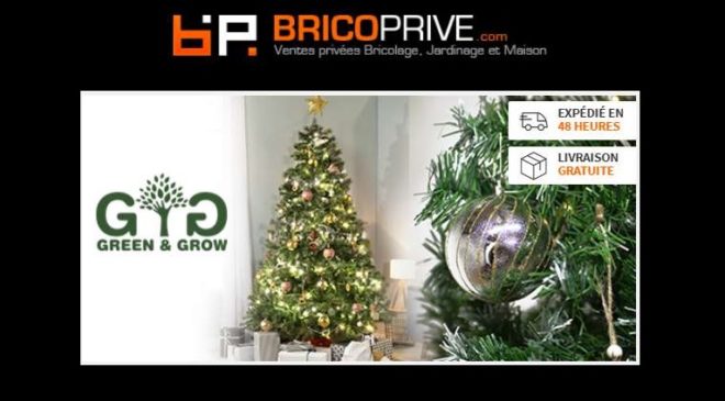 Vente privée sapins de Noël artificiels