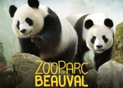 ZooParc de Beauval pas cher