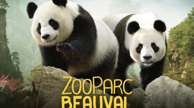 ZooParc de Beauval pas cher