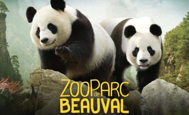 ZooParc de Beauval pas cher