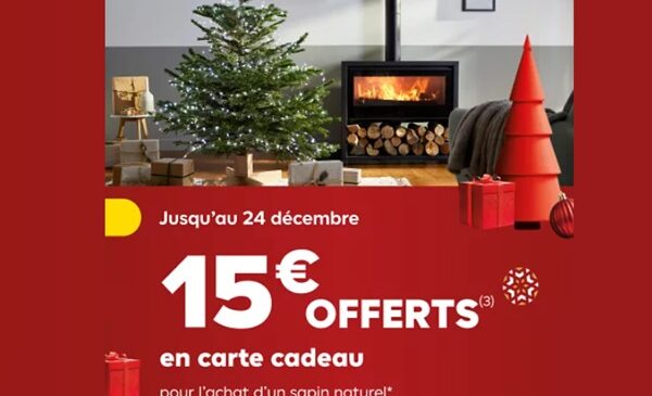 15€ offerts pour l’achat d’un sapin de noel chez castorama