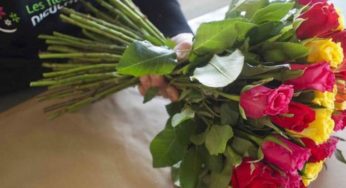 Bouquet de roses moitié prix : dès 19,90€ les 40 roses chez Fleurs de Nicolas
