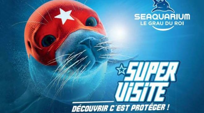 Résultat de recherche d'images pour "grau du roi aquarium"