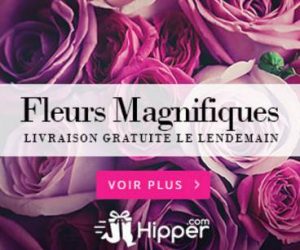 Bon plan livraison fleurs remise et livraison gratuite