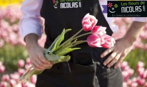 Fête des grands-mères : bouquet de tulipes