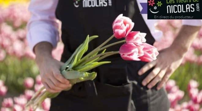 Fête des grands-mères : bouquet de tulipes