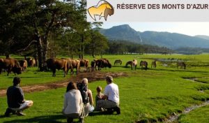 Safari dans la reserve Biologique des Monts D'Azur moins cher