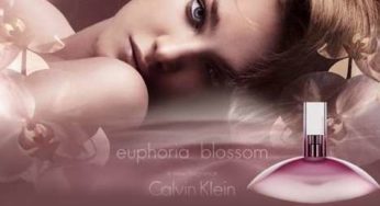 Moins de 29€ l’eau de toilette Euphoria Blossom Calvin Klein 50ml (au lieu de 83€) – livraison gratuite