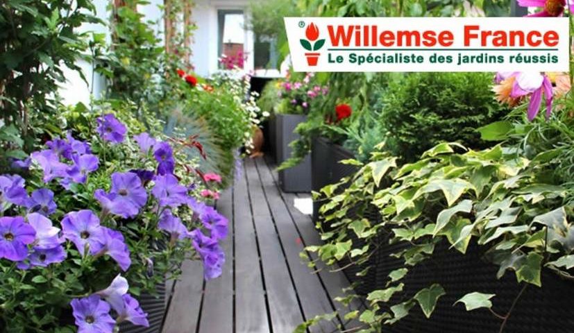 20€ pour faire 40€ d’achat sur Willemse