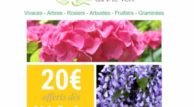 Bon plan jardinerie en ligne : -20€ des 60€ d’achat sur Jardin du Pic Vert 