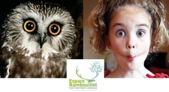 Entrée Parc animalier Espace Rambouillet à tarif réduit : 8€ enfant / 10€ adulte