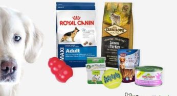 Bon d’achat Croquetteland : 3€ les 12€ d’achats (chiens, chats, poissons…)