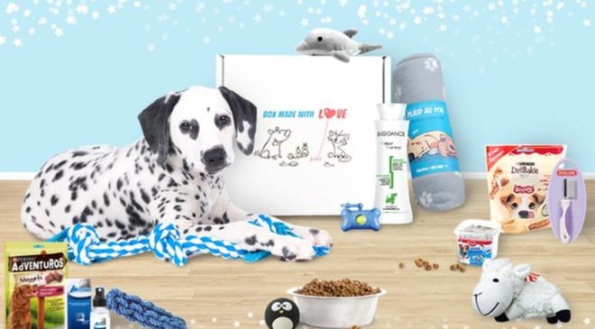 Wamiz Box (box chat ou chien) à moitié prix 