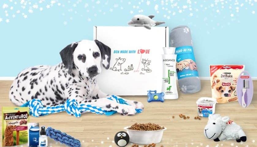 Wamiz Box (box chat ou chien) à moitié prix