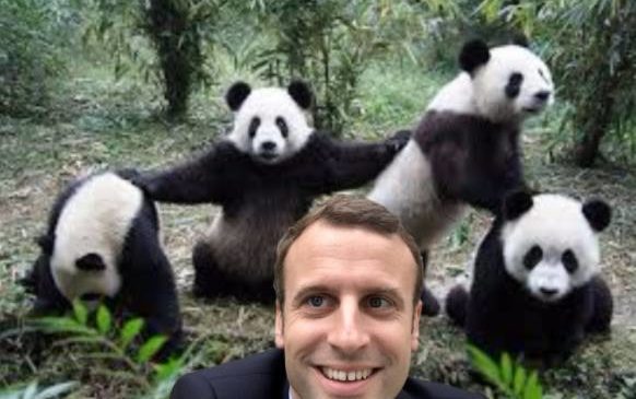 votre selfie avec Emmanuel Macron