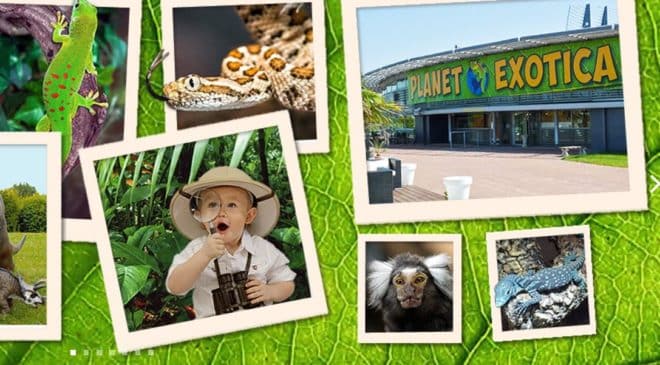 Billet Planet Exotica Royan moins cher : à partir de 12,5€ (reptiles, jardin du Jurassic, jeux…)