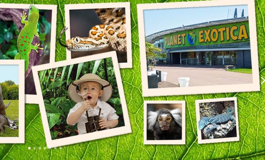 Billet Planet Exotica Royan moins cher : à partir de 8€ (reptiles, jardin du Jurassic, jeux…)