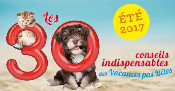 Recevez le Kit Vacances pas Bêtes 2017 de 30 millions d’amis gratuitement