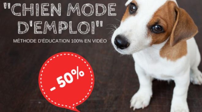 -50% sur Chien Mode d'Emploi : méthode pour éduquez votre chien ou chiot