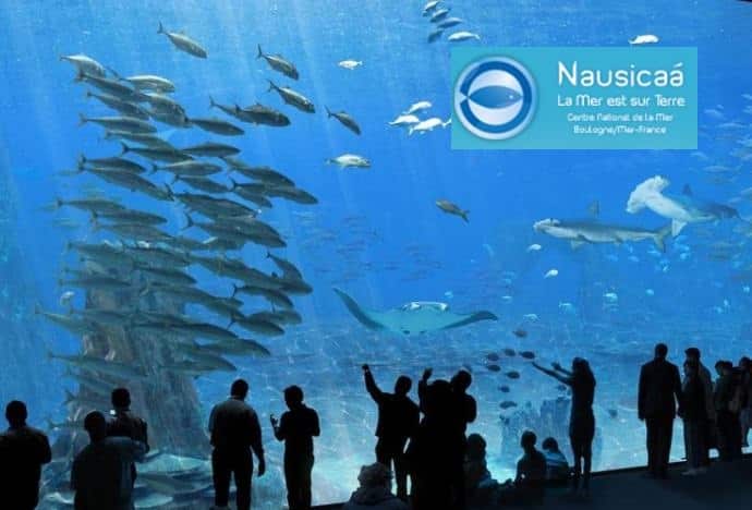 Entrée pour l’Aquarium Nausicaá pas cher (Boulogne sur Mer) ! 7,50€ enfant / 11,40€ adulte (au lieu de 12,50/19€)
