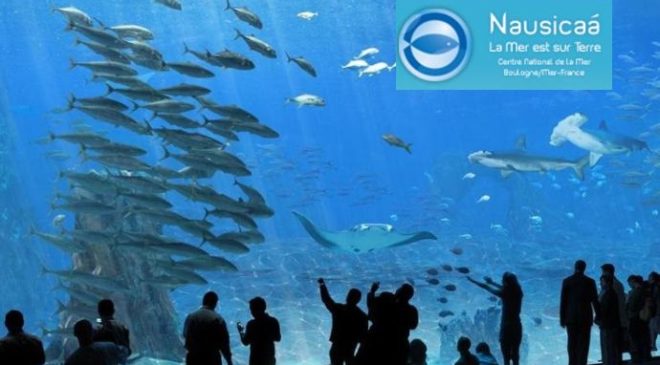 Entree pour l’Aquarium Nausicaa pas cher