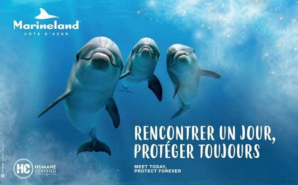 prix rencontre dauphin marineland
