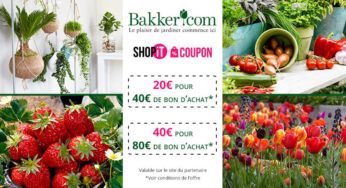 Achats moins chers sur Bakker avec un bon d’achat moitié prix : 20€ les 40€, 40€ les 80€ (cumulable promo)
