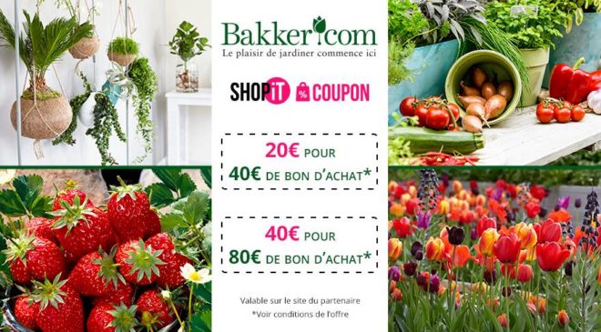 Achats moins chers sur Bakker avec un bon d’achat moitié prix 