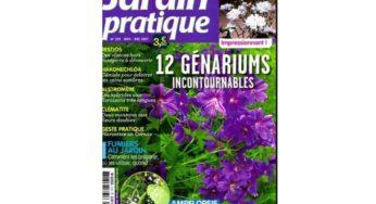 Abonnement Jardin Pratique pas cher : 14,9€ l’année au lieu de 35€