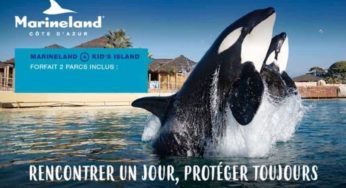 Billet Spéciale Halloween à Marineland et Kid’s Island pas cher : dès 23€ (valable jusqu’en janvier)