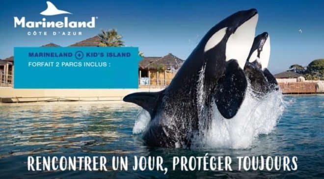 Billet Spéciale Halloween à Marineland et Kid's Island pas cher