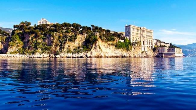 Entrée au musée Océanographique de Monaco moitié prix