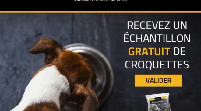 échantillon croquettes pour chien Canem Expert