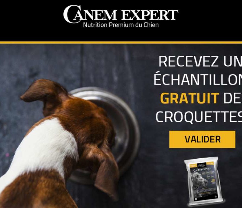 échantillon croquettes pour chien Canem Expert