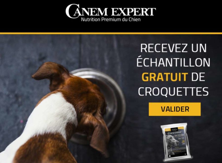 GRATUIT : échantillon croquettes pour chien Canem Expert 🐶
