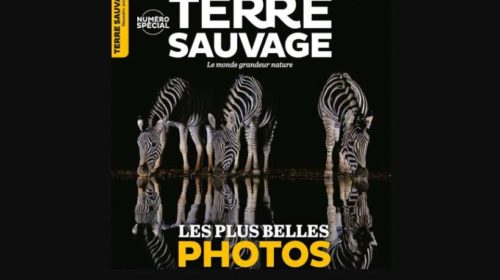 Abonnement magazine Terre Sauvage pas cher