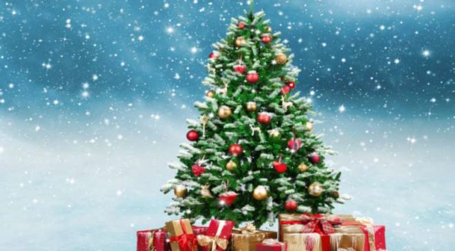 Tous les bons plans Sapin de Noël