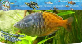 Aquarium des Tropiques pas cher (Allex – Drome) : 5,99€ enfant / 8,4€ adulte / famille 27,8€