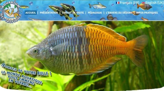 Aquarium des Tropiques pas cher (Allex – Drome)