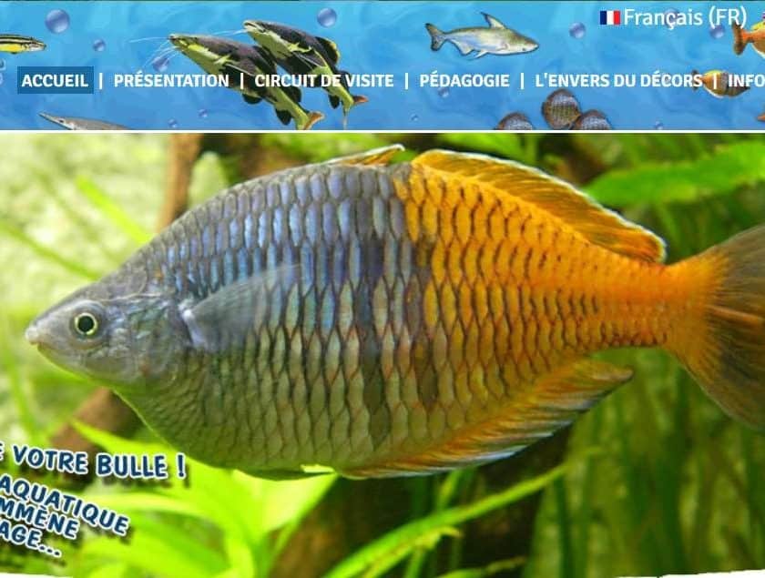 Aquarium des Tropiques pas cher (Allex – Drome)
