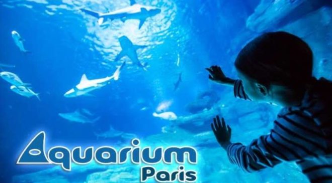 Entrée à l’Aquarium de Paris moitié prix