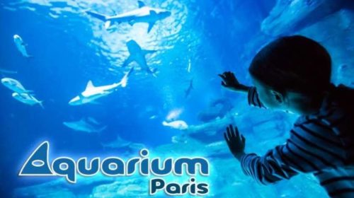 Billet Aquarium de Paris nocturne pas cher