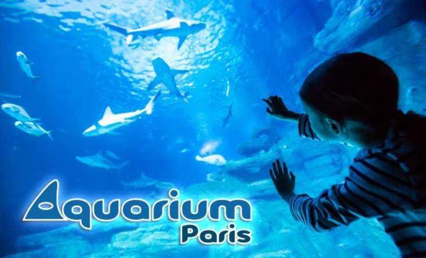 Billet Aquarium de Paris nocturne pas cher