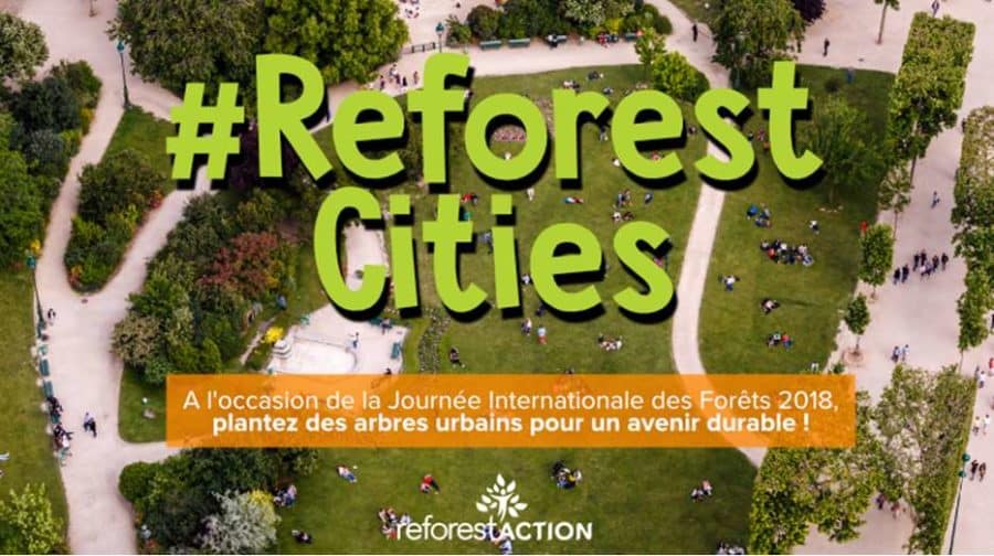 Journée Internationale des Forêts plantez un arbre en ville en quelques clics #ReforestCities