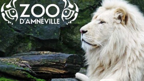 Zoo Amnéville moins cher