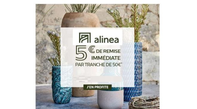 5€ de remise immédiate sur Alinea