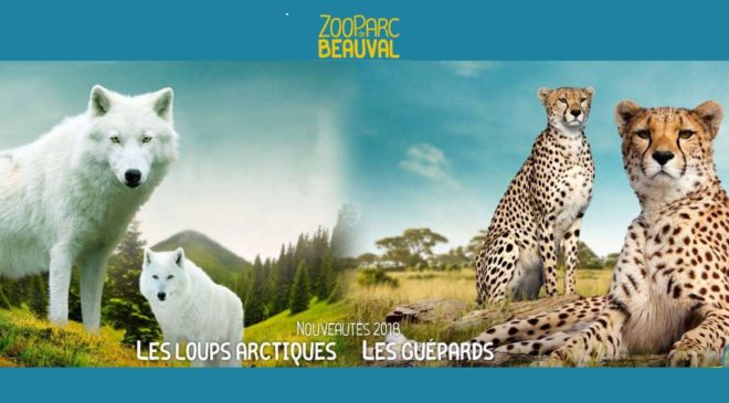 Billet ZooParc de Beauval 2 jours au prix 1 jour