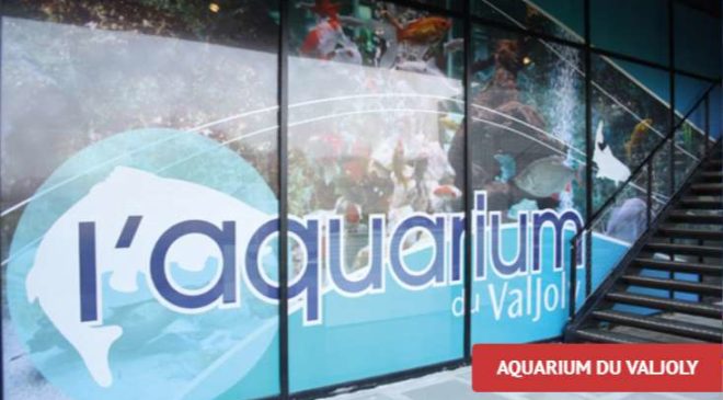 Billet aquarium du Valjoly pas cher