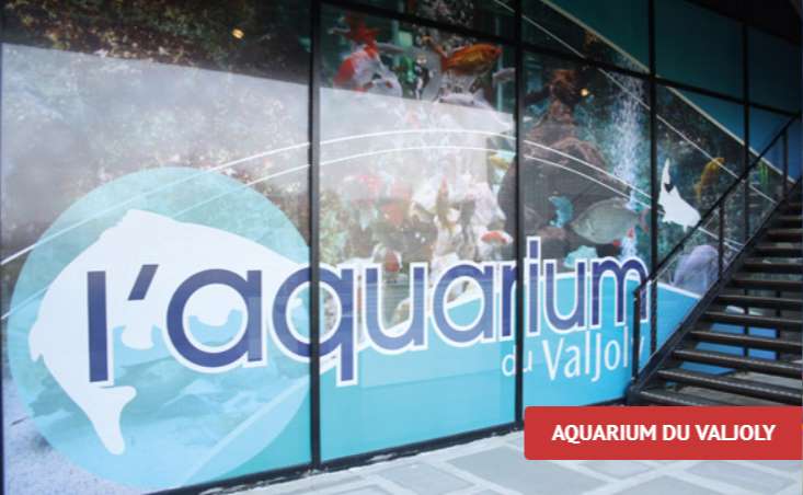 Billet aquarium du Valjoly pas cher : 4,5€ l’entrée (8,5€ les 2, 12,5€ les 3 et 16€ les 4)